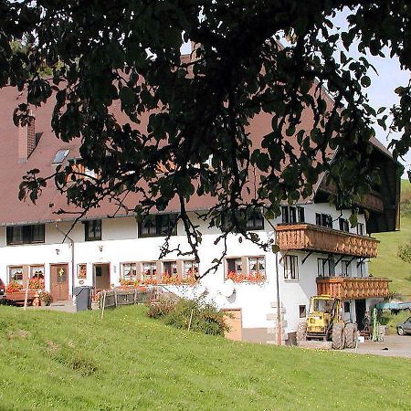 Schanzenberghof Hornberg Eksteriør billede